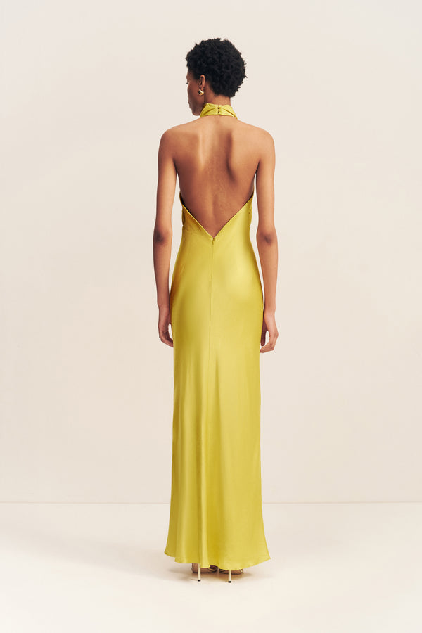 SOFIA HIGH COWL OPEN BACK MAXI DRESS - LIME_B