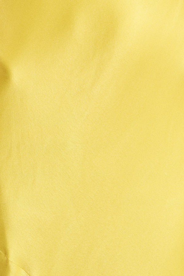 SOFIA HIGH COWL OPEN BACK MAXI DRESS - LIME_SW