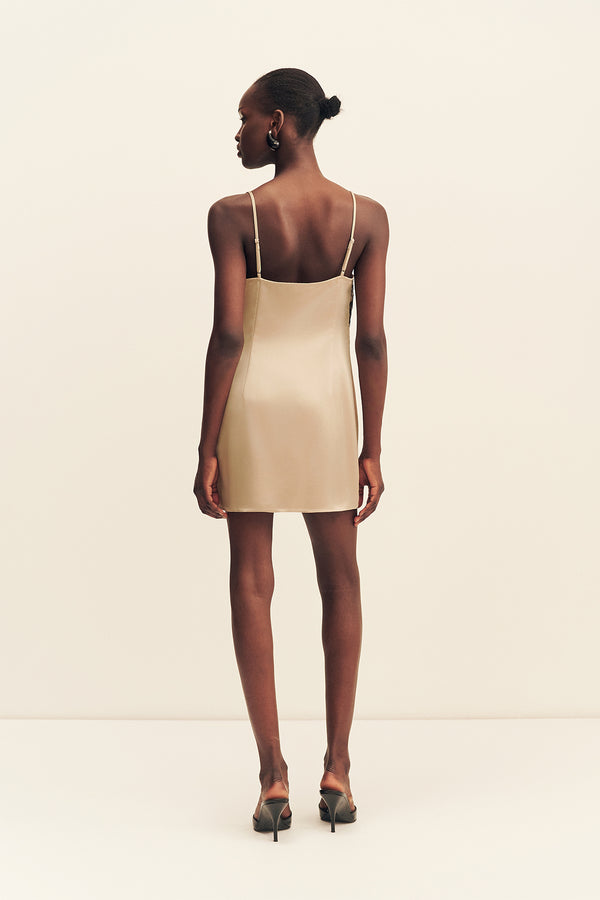 LUCIA LACE MINI DRESS - CHAMPAGNE/BLACK