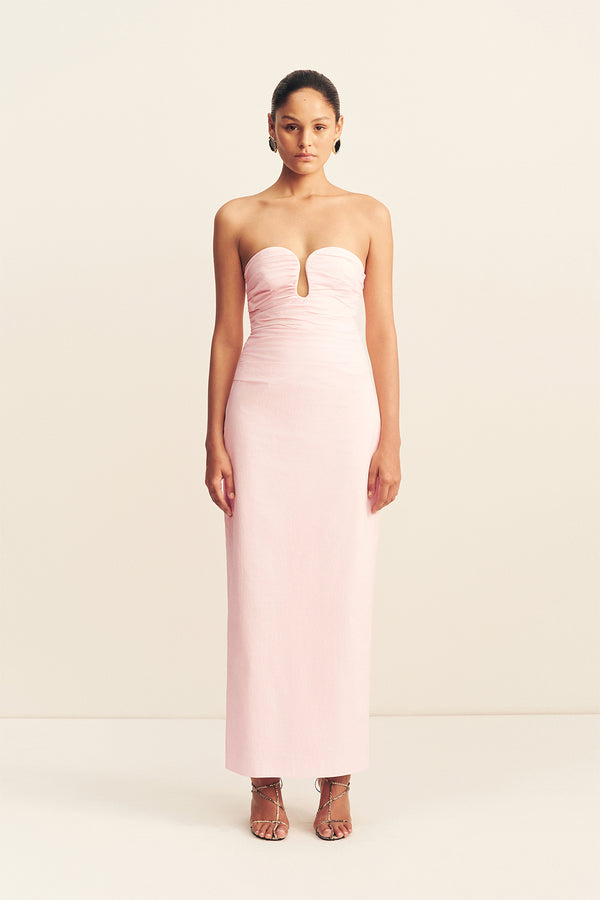 CAMPBELL STRAPLESS U WIRE MAXI DRESS - BALLERINA_F