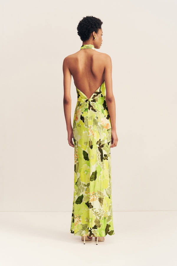 MIDELTON HIGH COWL OPEN BACK MAXI DRESS_B