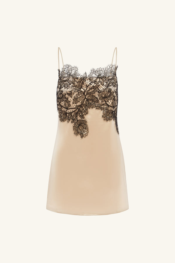 LUCIA LACE MINI DRESS - CHAMPAGNE/BLACK_G