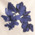 Midnight Wallflower